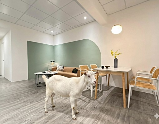 全新質感裝潢/菜寮站、三重站/可租補/垃圾代收/限貓/超稀有 - Image 1