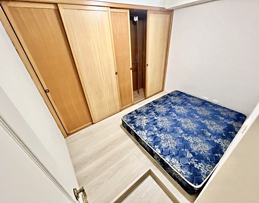 聖誕樹的季節🎄可貓🐈三房/雙租補/新平華夏 - Image 5