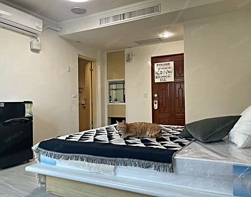 睿達🏠豐原租屋🏠豐東路飯店級套房🏠可租補可貓 - Image 1