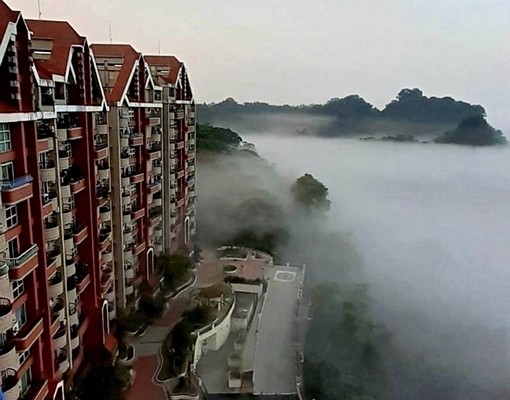 樹海高cp兩房 - Image 9