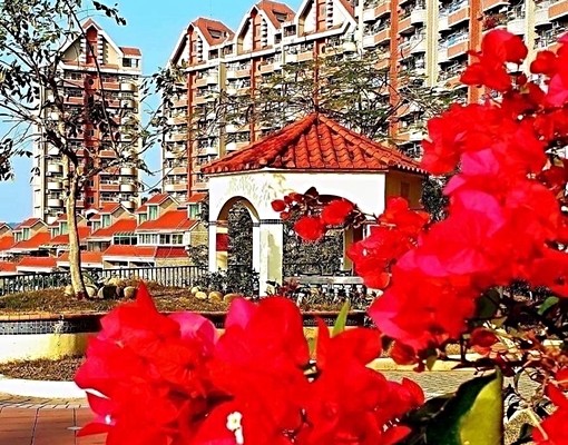 樹海高cp兩房 - Image 11