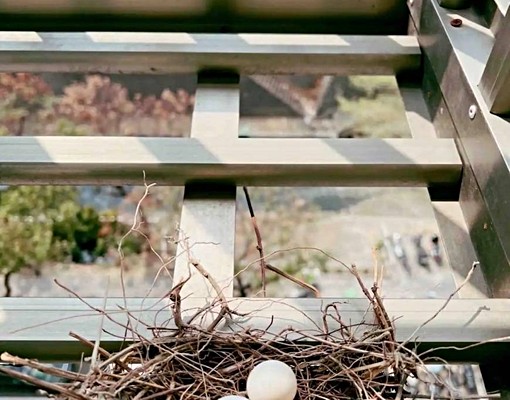 一中VS中國醫商圈💖精裝質感美套 - Image 10