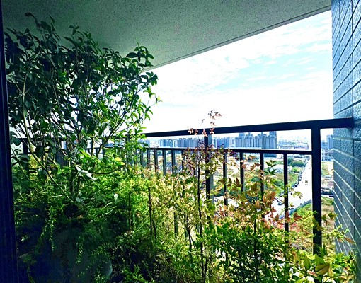 中國醫|大毅人人幸福|無限視野,精裝三房含平車、管,可租補 - Image 8