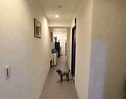 近新埔民生站小資族溫馨獨立單人套房可代收垃圾 - Image 5