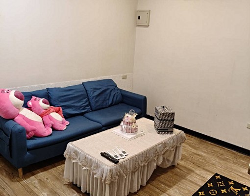 333幸福資產---近桃園市區、獨洗2房電梯大樓、可寵採光佳 - Image 3