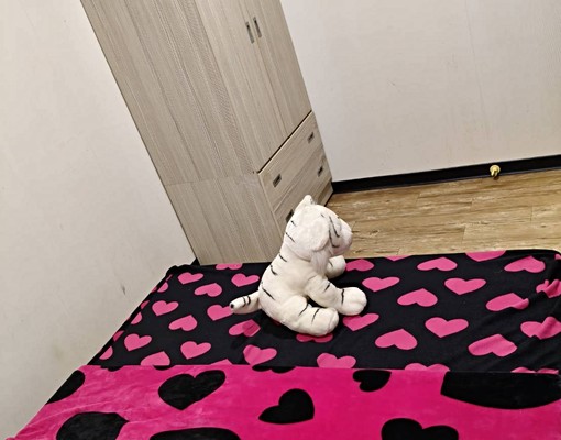 333幸福資產---近桃園市區、獨洗2房電梯大樓、可寵採光佳 - Image 6