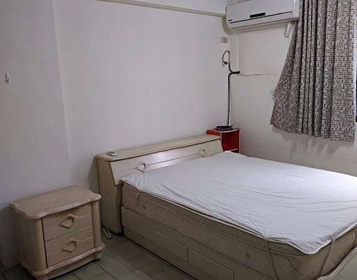 大同路商圈近藍蜻蜓 - Image 5