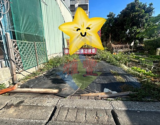 豐原南陽黃金店面建地