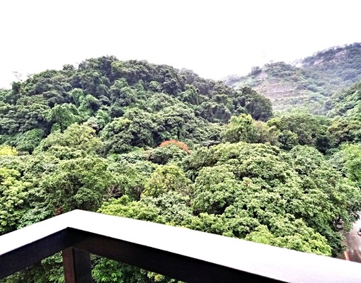 近捷運麟光站,富陽生態公園,電梯標準1房1廳1衛,獨立套房 - Image 13