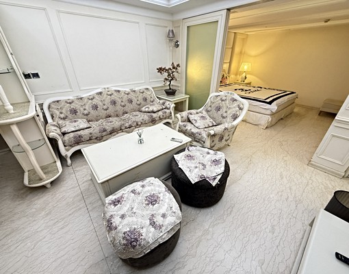 文心森林豐樂捷運大墩向上💖可寵雙租補超美精裝正一房 - Image 4