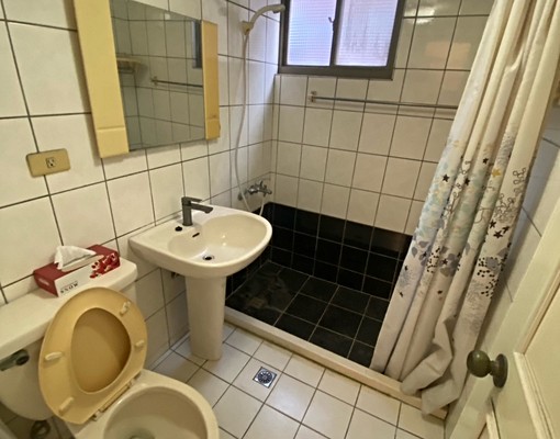 大墩家樂福大新國小旁/全新粉刷三房平車/可寵/特惠價 - Image 12