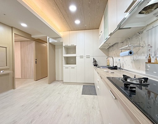 小巨蛋站6分.延吉街.北寧路.市民大道.光復南路.乾溼分離 - Image 9