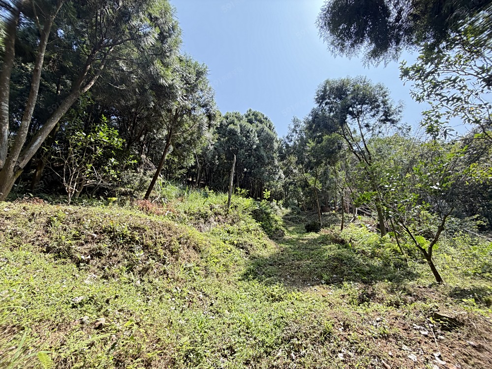 苗栗縣三灣鄉三灣段土地 第2張共5張