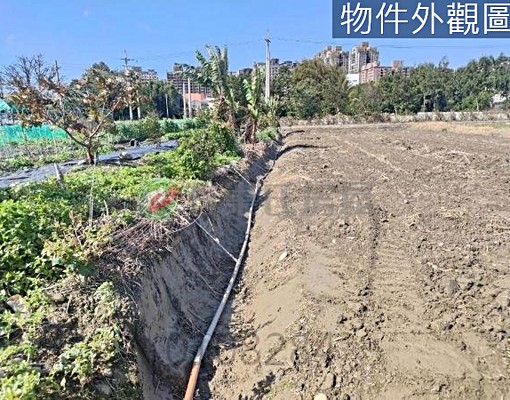 樹林區-南園段農地出售 第9張共13張