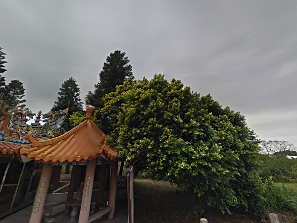 清淞三
