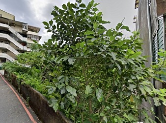 信義名邸公寓