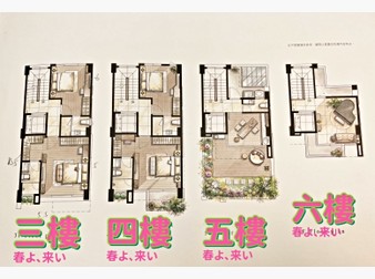 社區格局圖