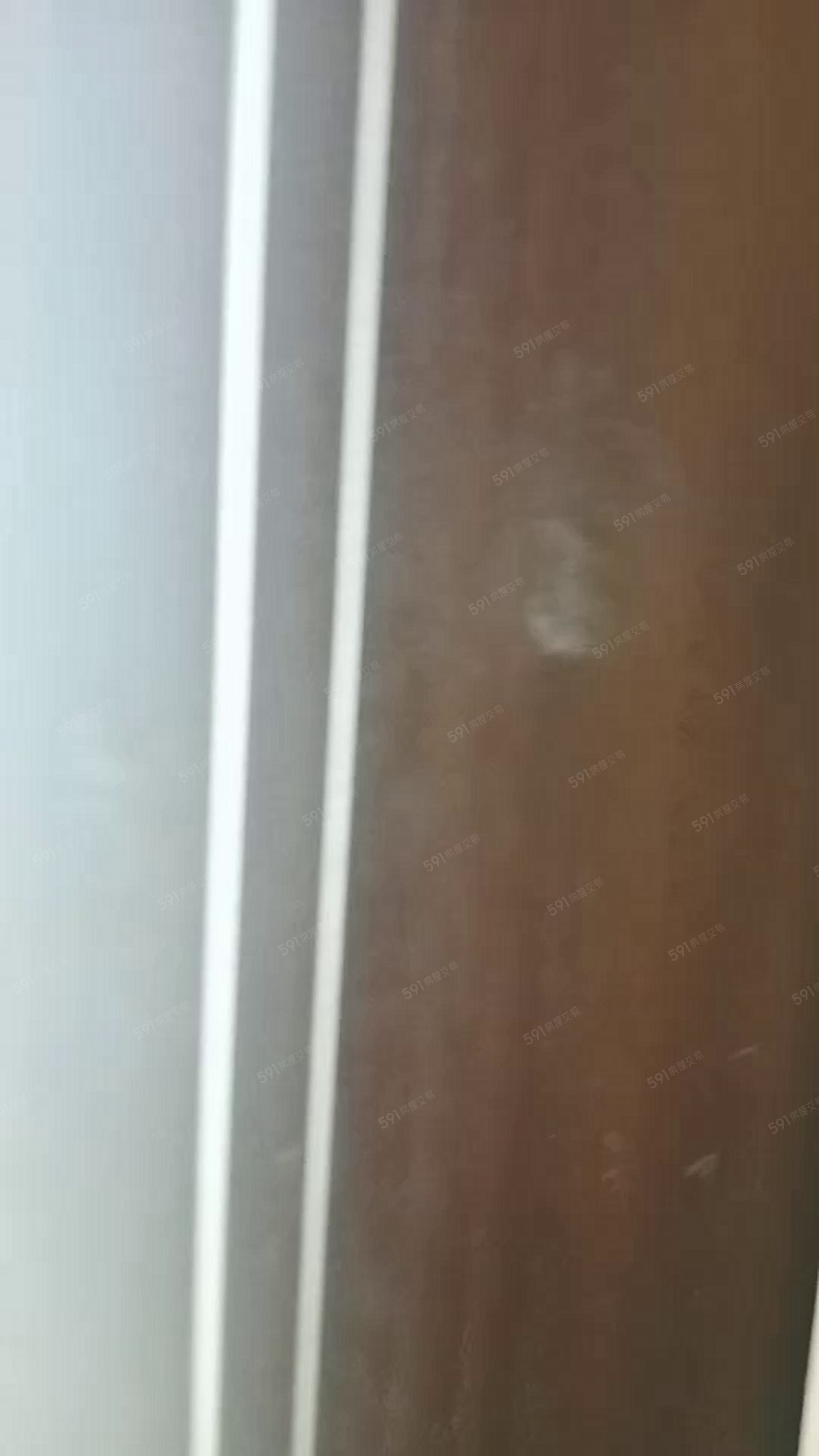 瑞屏7B6貓寵高科楠梓加工區後勁📞愛窩 - Image 1
