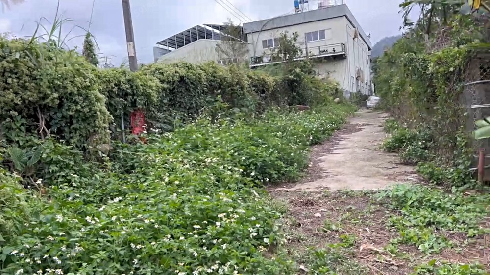 物件圖片