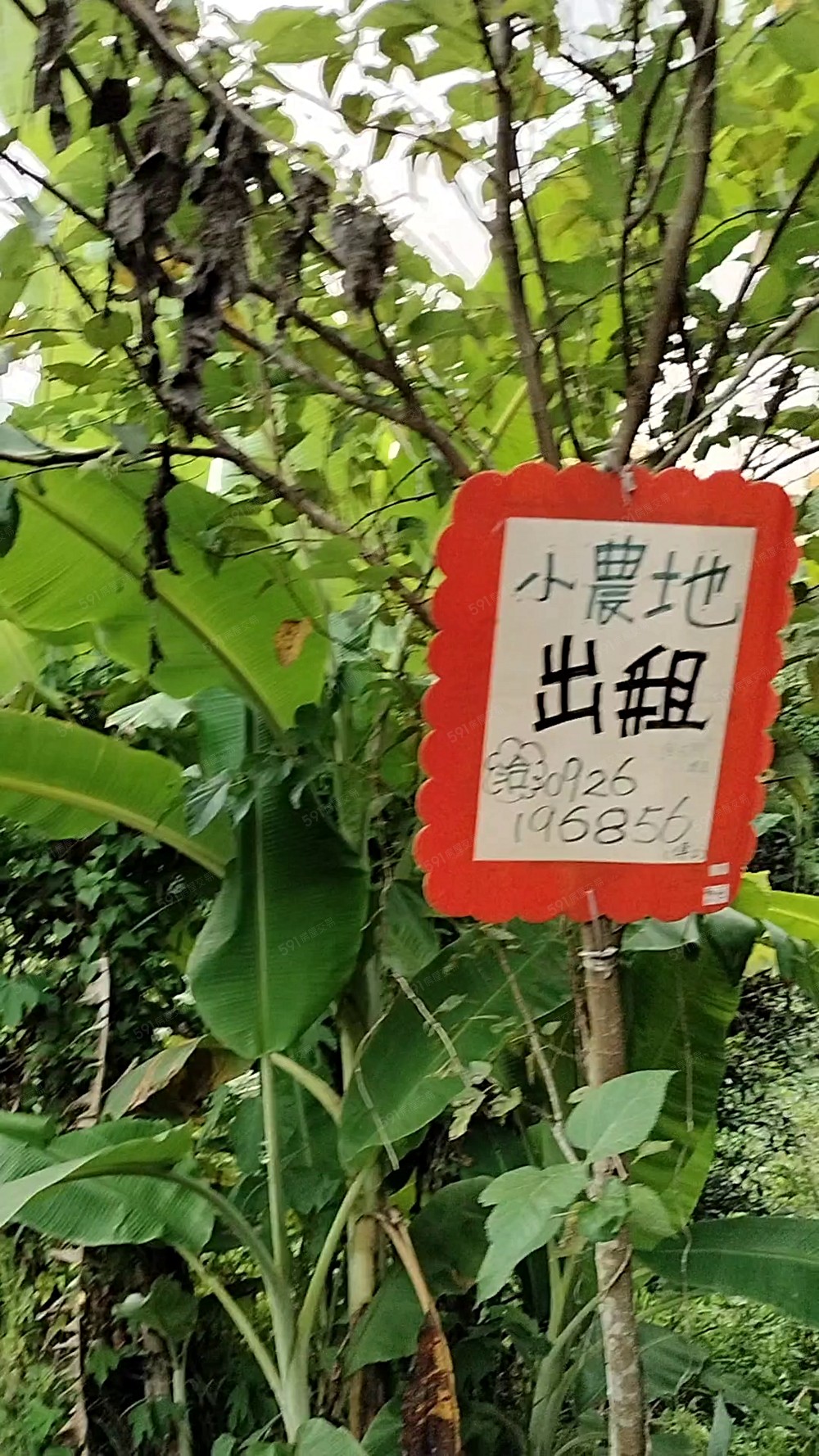 新竹北埔水際村13鄰有機農地近寶二水庫