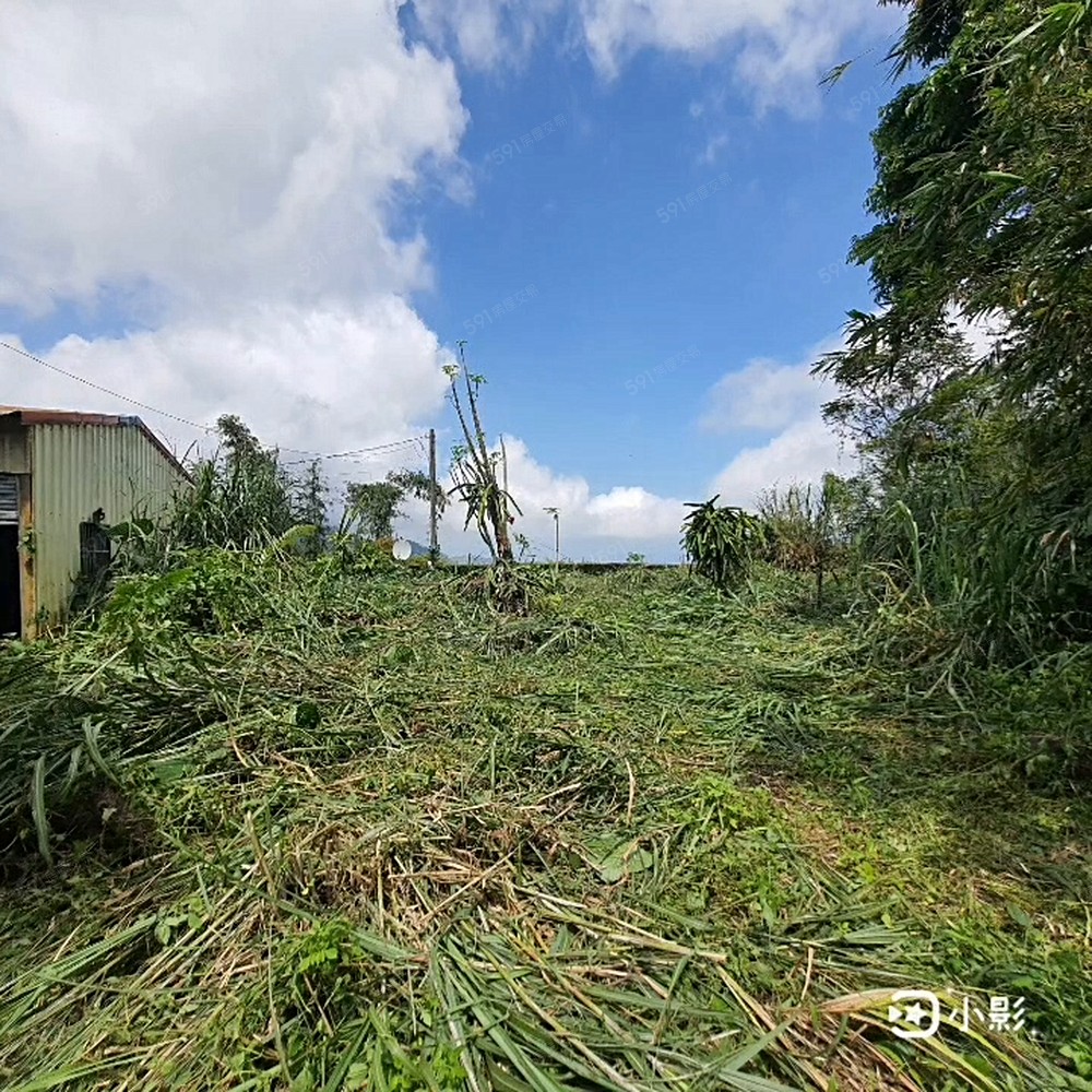 🌺阿里山公路旁金店面建地(專簽)🌺