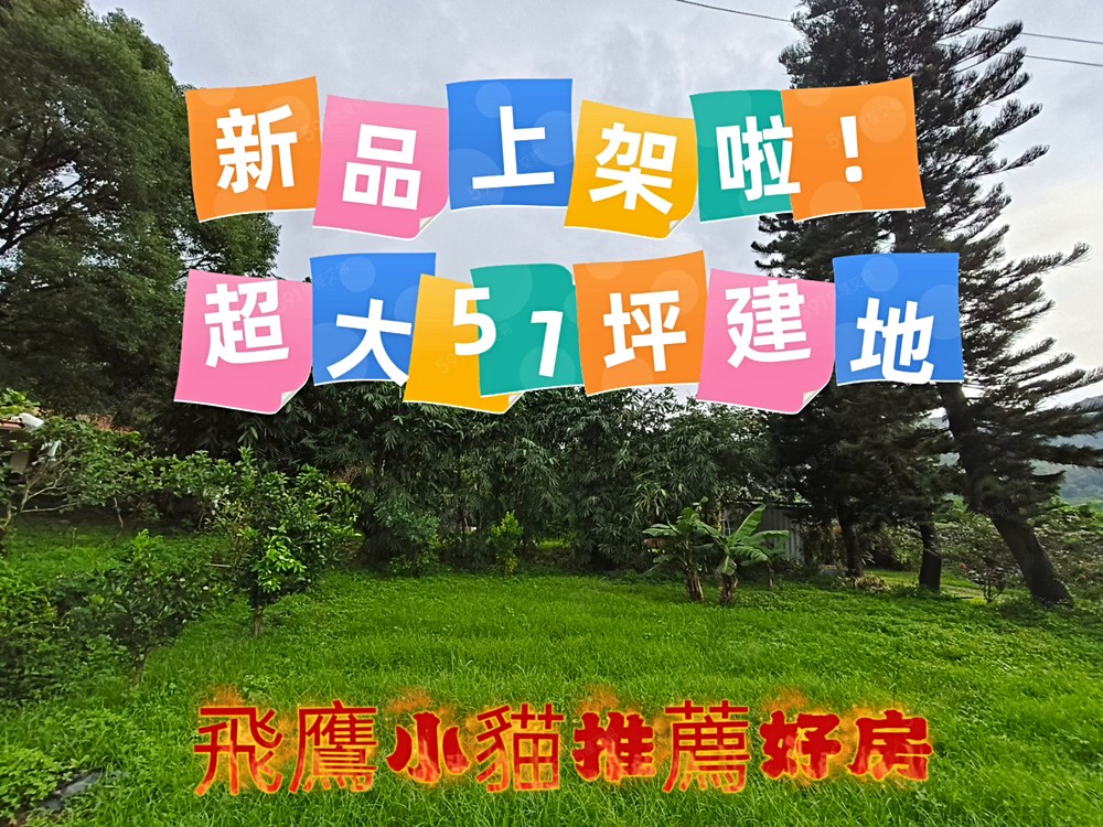 🏡鳳凰谷古早味三合院平房3房