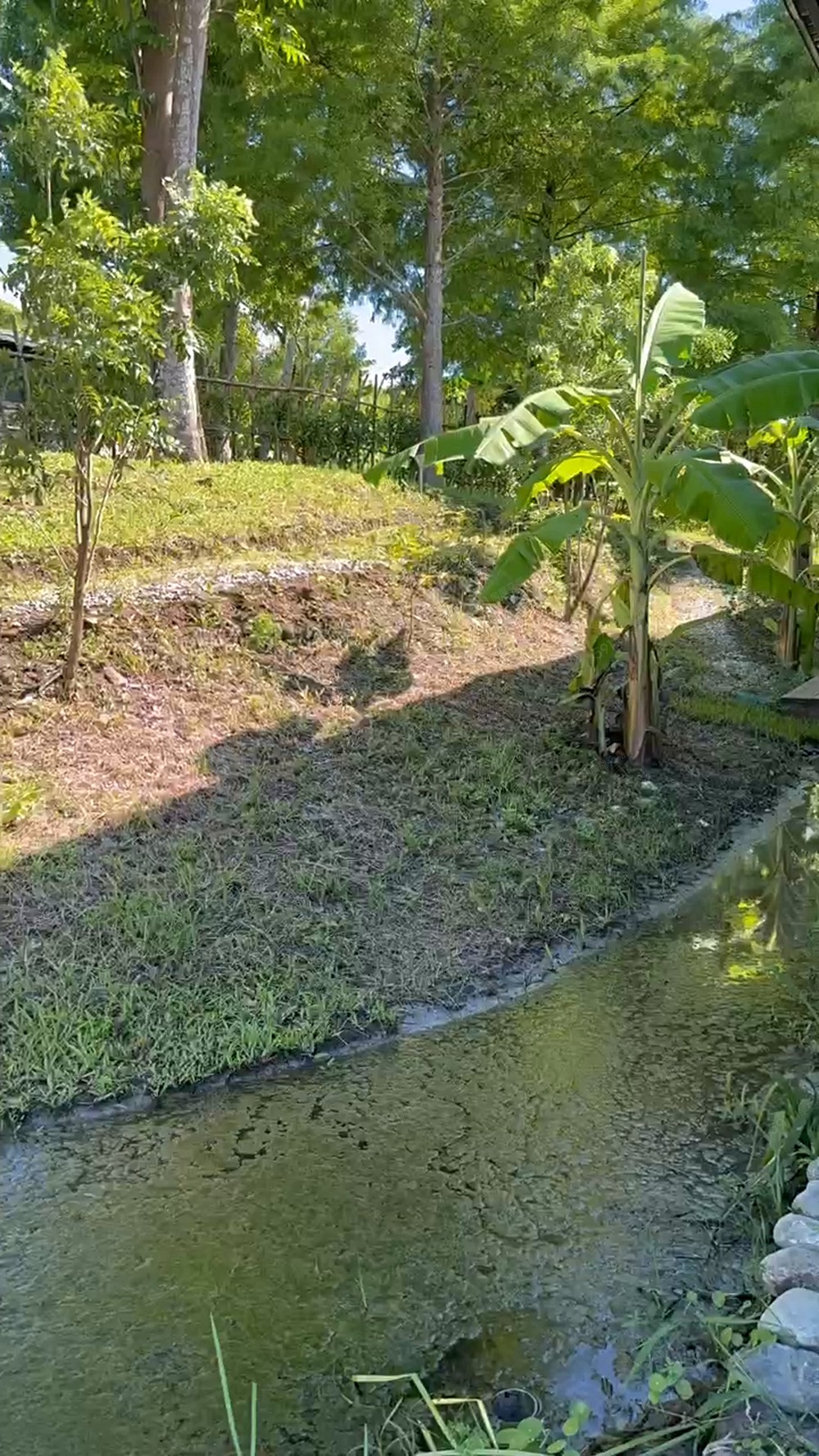 花蓮壽豐星月山丘｜綠意盎然景觀住家+全新完工+300坪園區 - Image 1