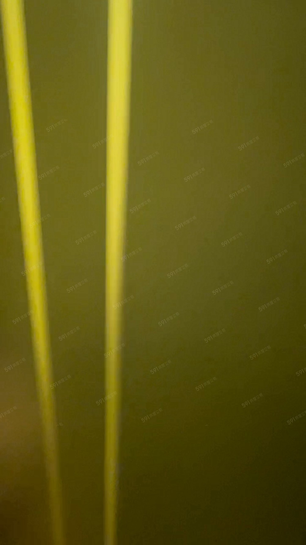 菜寮✨走道窗✨可寵✨獨立洗衣機✨免爬高✨生活機能強 - Image 1