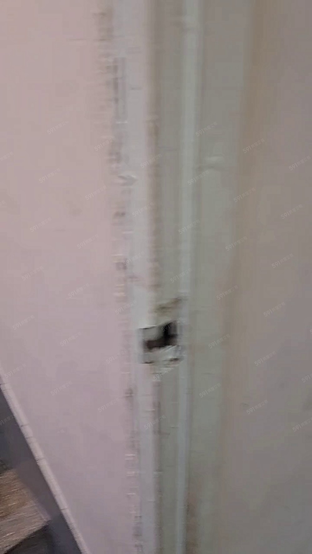 🍊台北橋/可寵/三房美寓近三和夜市 - Image 1