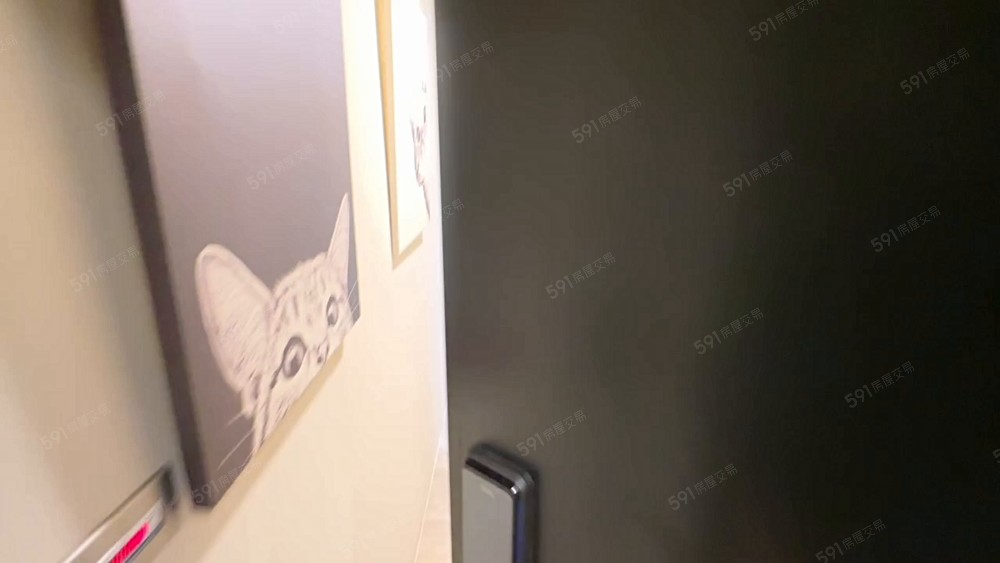 洽洽好租🏡桃園市府可貓可補助陽台獨洗 - Image 1