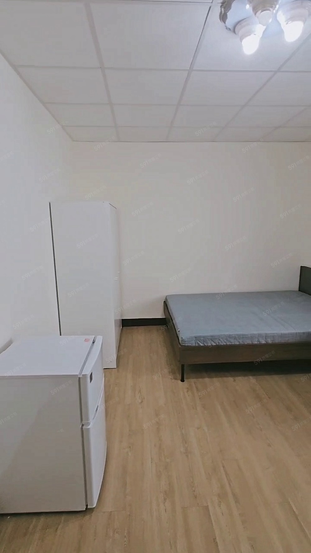 板新🏠可租補報稅/全新裝潢採光通風/乾濕分離獨洗曬/機能佳 - Image 1